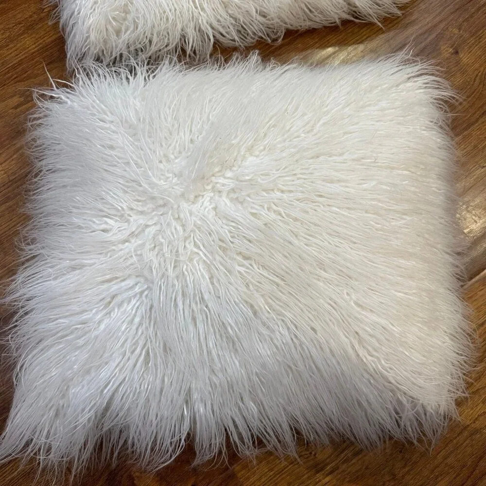 Pottery Barn white furry pillow set